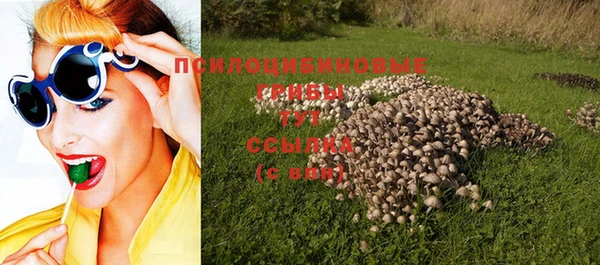 СК Арсеньев