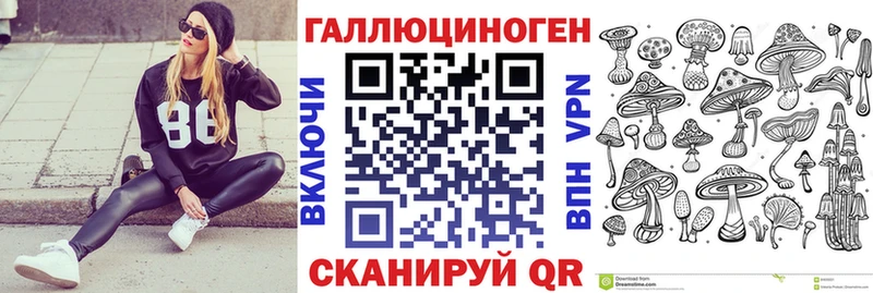 блэк спрут как зайти Микунь Псилоцибиновые грибы прущие грибы купить наркотики сайты